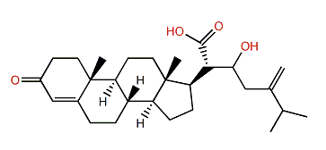 Chabrolosteroid G